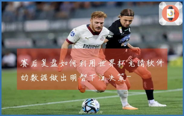 赛后复盘如何利用世界杯竞猜软件的数据做出明智下注决策-