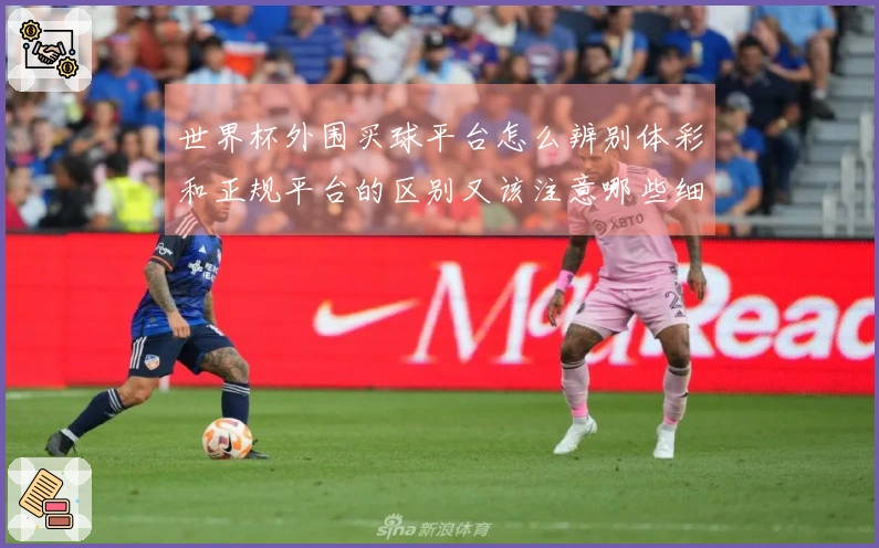 世界杯外围买球平台怎么辨别体彩和正规平台的区别又该注意哪些细节