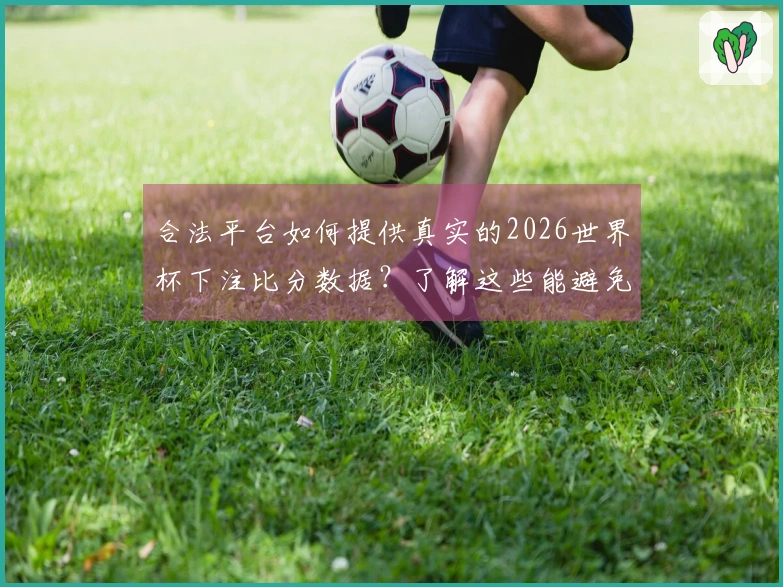 合法平台如何提供真实的2026世界杯下注比分数据？了解这些能避免潜在风险