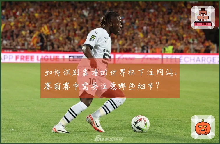 如何识别靠谱的世界杯下注网站，赛前赛中需要注意哪些细节？