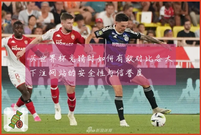 买世界杯竞猜时如何有效对比各大下注网站的安全性与信誉度