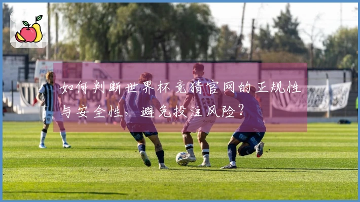 如何判断世界杯竞猜官网的正规性与安全性，避免投注风险？