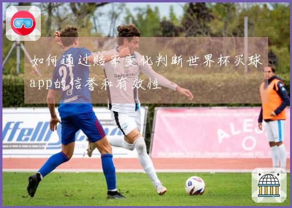 如何通过赔率变化判断世界杯买球app的信誉和有效性