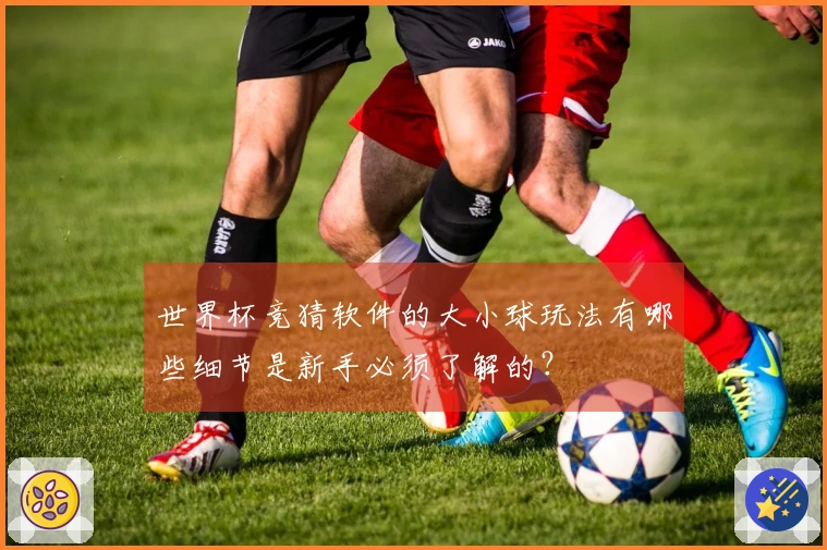 世界杯竞猜软件的大小球玩法有哪些细节是新手必须了解的？