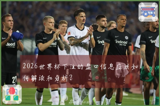 2026世界杯下注的盘口信息应该如何解读和分析？
