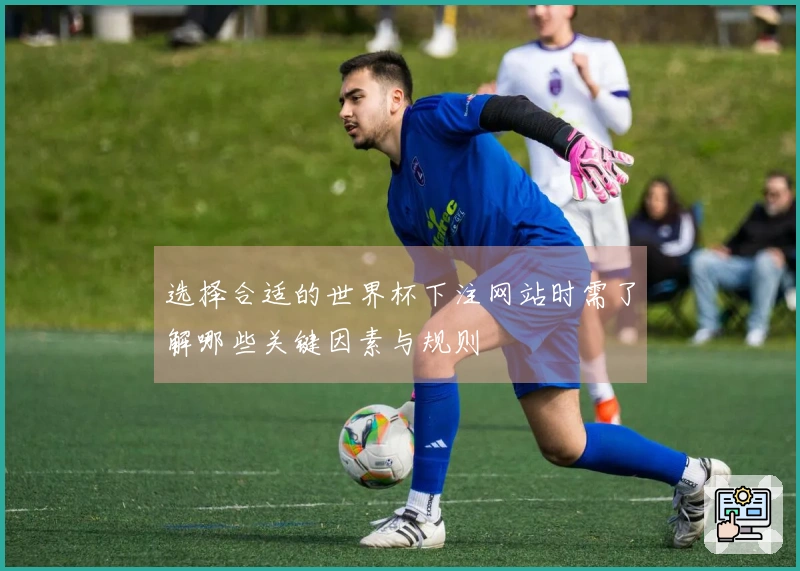选择合适的世界杯下注网站时需了解哪些关键因素与规则