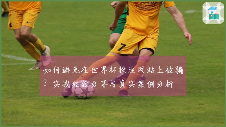 如何避免在世界杯投注网站上被骗？实战经验分享与真实案例分析