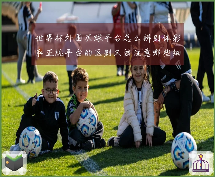 世界杯外围买球平台怎么辨别体彩和正规平台的区别又该注意哪些细节
