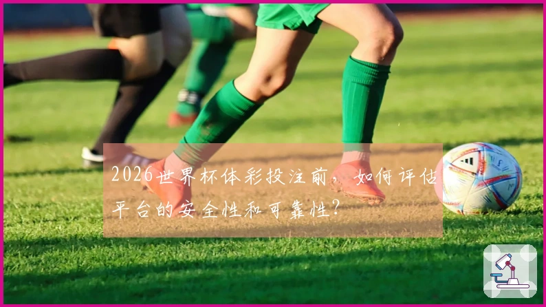 2026世界杯体彩投注前，如何评估平台的安全性和可靠性？