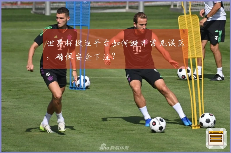 世界杯投注平台如何避开常见误区，确保安全下注？