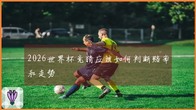 2026世界杯竞猜应该如何判断赔率和走势