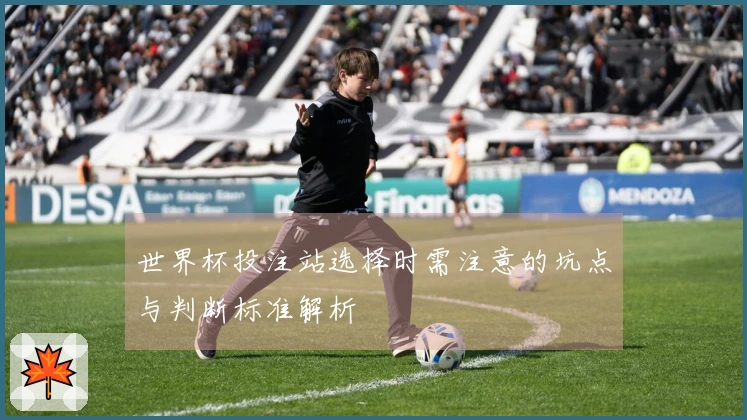 世界杯投注站选择时需注意的坑点与判断标准解析