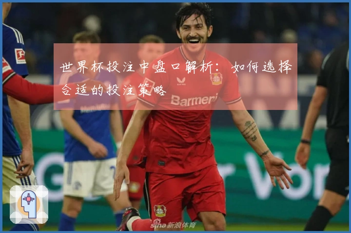 世界杯投注中盘口解析：如何选择合适的投注策略