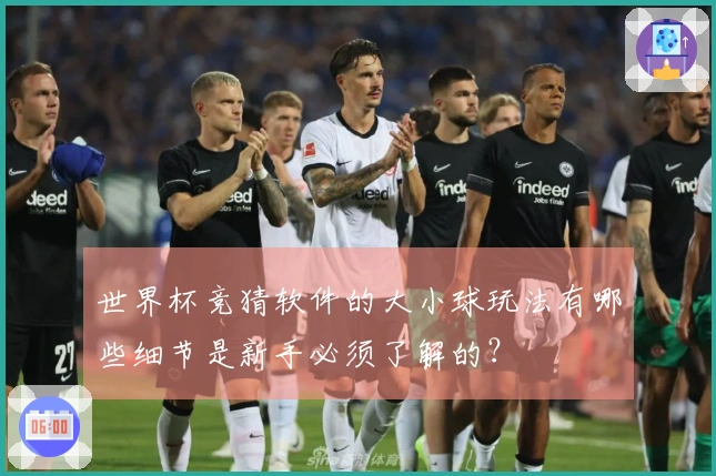 世界杯竞猜软件的大小球玩法有哪些细节是新手必须了解的？