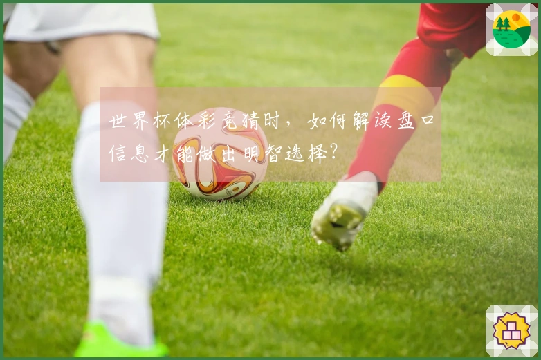 世界杯体彩竞猜时，如何解读盘口信息才能做出明智选择？