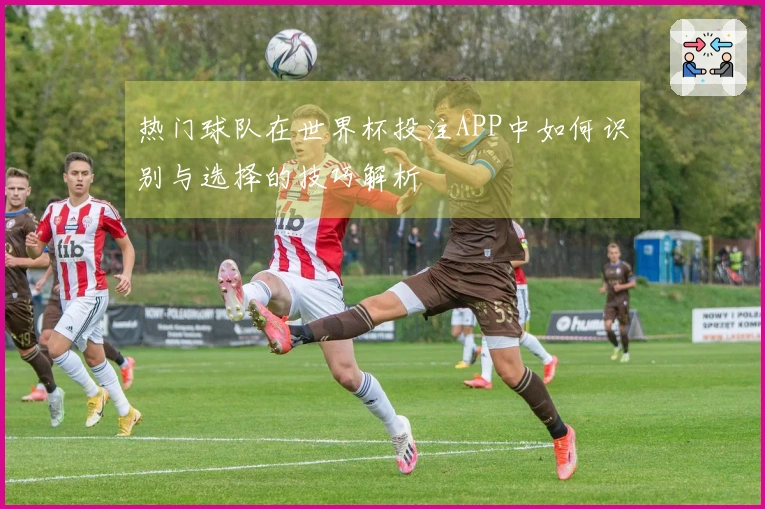 热门球队在世界杯投注APP中如何识别与选择的技巧解析