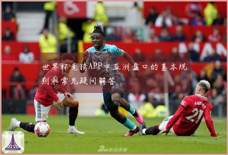 世界杯竞猜APP中亚洲盘口的基本规则和常见疑问解答