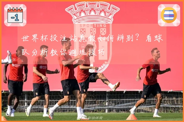世界杯投注站真假如何辨别？看球队分析教你避坑技巧