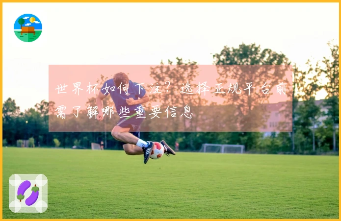 世界杯如何下注？选择正规平台前需了解哪些重要信息