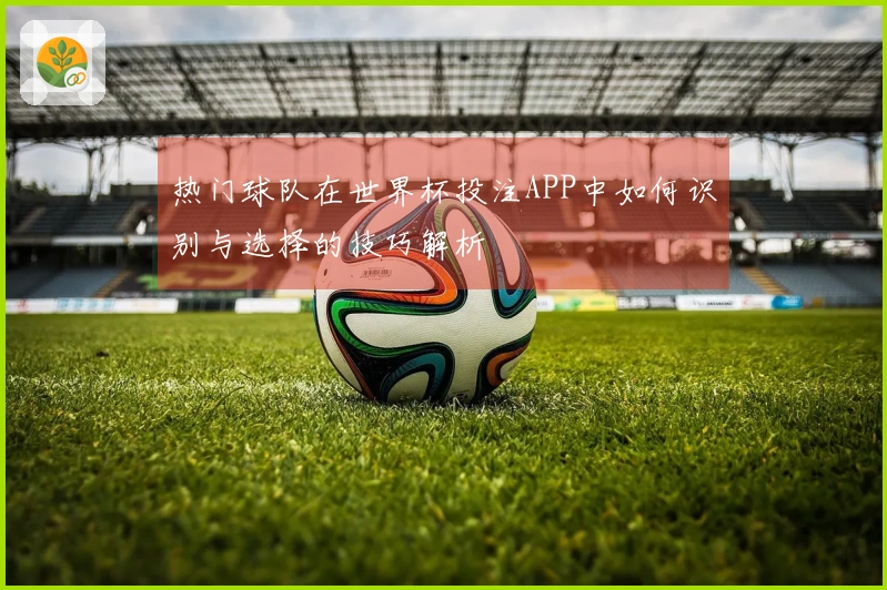 热门球队在世界杯投注APP中如何识别与选择的技巧解析