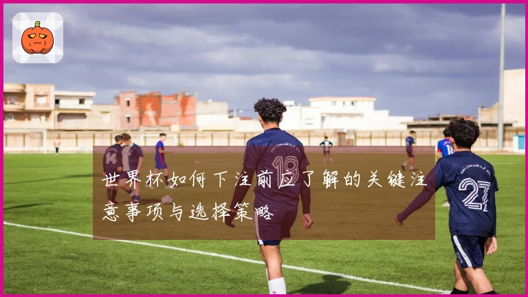 世界杯如何下注前应了解的关键注意事项与选择策略